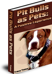 pitbulls as pets